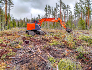 Karuimmat turvemaat on syytä laikuttaa luontaisen taimettumisen turvaamiseksi. Reunametsän siemennys riittää uudistamaan muutaman kymmenen metrin levyisen uudistusalan. (Kuvaaja: Markku Saarinen)