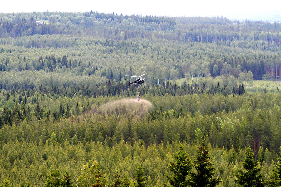 Metsäkeskuksen mukaan Suomessa on 965 000 hehtaaria metsää, joka soveltuu ennen päätehakkuuta tehtävään kasvatuslannoitukseen. Näiden kohteiden kertalannoituksella lisäkasvua voitaisiin saada noin 11 miljoonaa kuutiota kahdeksan vuoden aikana. (Kuvaaja: Sami Karppinen)