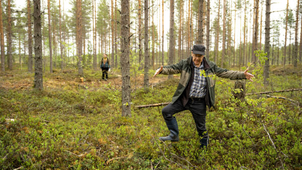 Kohteiden tunnistaminen vaatii harjaantunutta silmää ja talviaikaan se on mahdotonta. Arkeologi Mika Sarkkinen pystyy paikantamaan, että tästä kotapainanne alkaa. (Kuvaaja: Antti J. Leinonen)