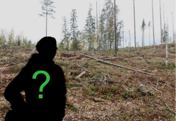Luonnonvarakeskuksen ja Helsingin yliopiston yhteistutkimukseen etsitään haastateltaviksi metsäalalla toimihenkilöinä työskenteleviä naisia, jotka ovat halukkaita kertomaan omasta työarjestaan. (Kuvaaja: Sami Karppinen)