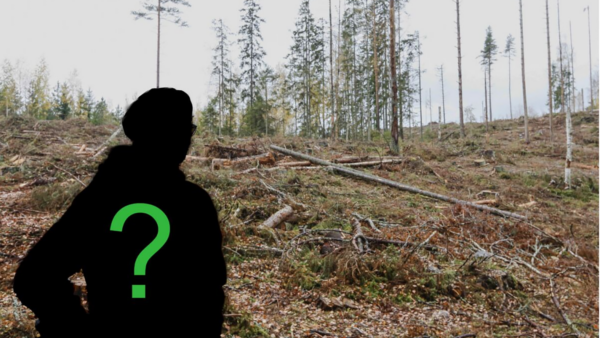 Luonnonvarakeskuksen ja Helsingin yliopiston yhteistutkimukseen etsitään haastateltaviksi metsäalalla toimihenkilöinä työskenteleviä naisia, jotka ovat halukkaita kertomaan omasta työarjestaan. (Kuvaaja: Sami Karppinen)