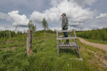Harri Huupposen mielestä ei ole oikein, että metsästysharrastus jyrää puuntuottajan edut. Näkymä hirvitornista hirvien syömään koivikkoon ei metsänomistajaa naurata. 