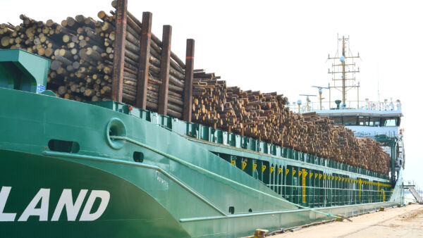 Kesäkuun alussa Loviisan satamasta lähti Family Timber Finlandin kokoama 5 700 kuution havukuitupuulasti kohti Ruotsia. (Kuvaaja: Arto Henriksson)