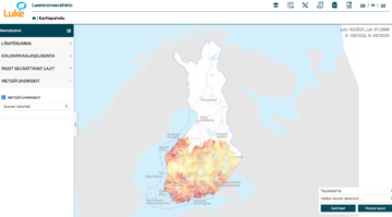Kuusen lahoriskeistä kertova kartta antaa aiempaa tarkemman kuvan juurikäävän esiintymisestä Suomessa.