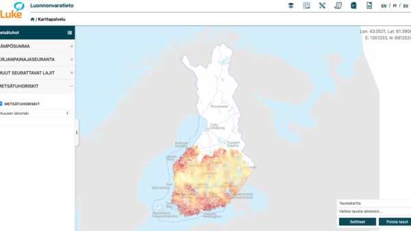 Kuusen lahoriskeistä kertova kartta antaa aiempaa tarkemman kuvan juurikäävän esiintymisestä Suomessa.