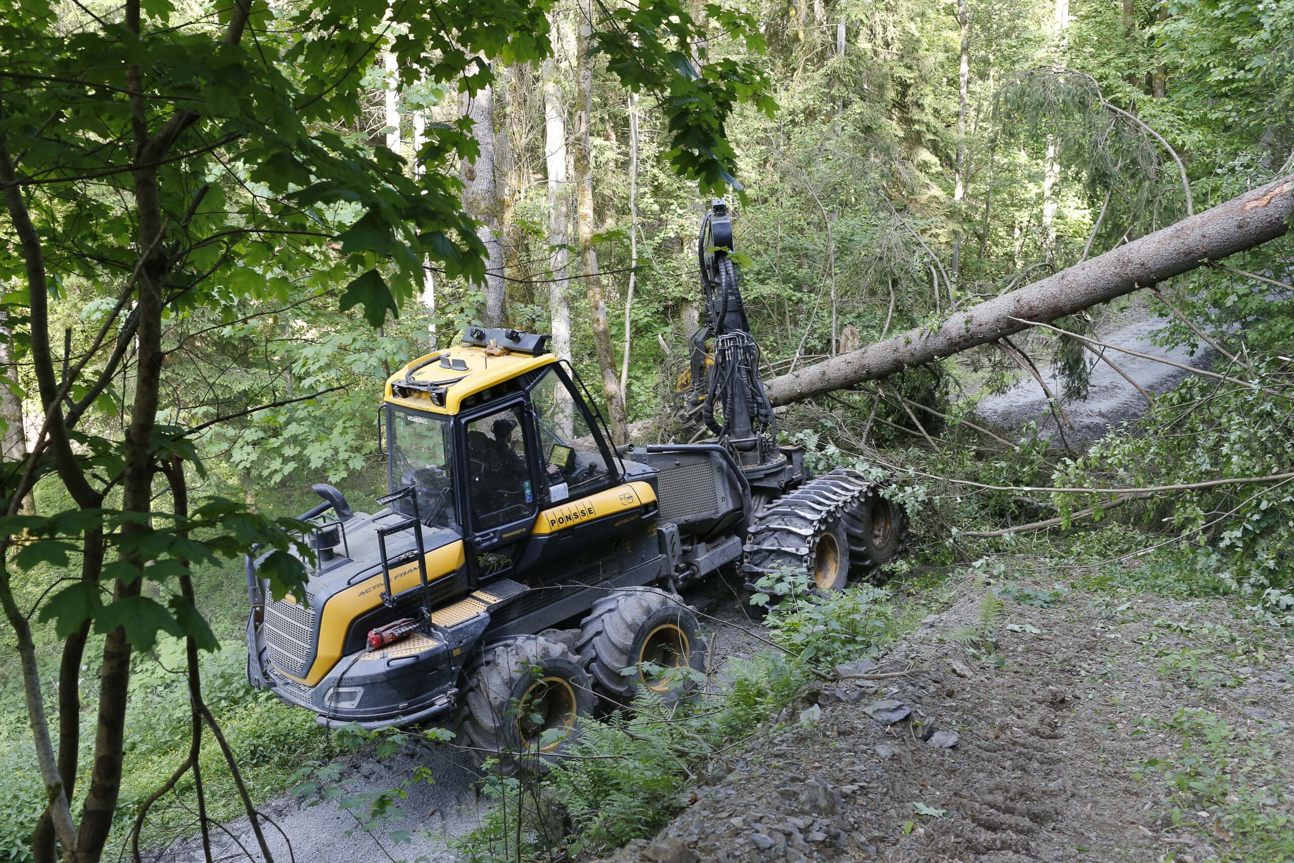 Saksassa Pulaa Havutukista Hinnat Nousevat Eurolla Joka Viikko Saksassa Pulaa Havutukista Hinnat Nousevat Eurolla Joka Viikko