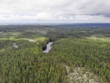 Vastanneet pitivät tärkeimpänä syynä jatkuvaan kasvatukseen siirtymisessä sen maisemavaikutusta. (Kuva: Sami Karppinen)