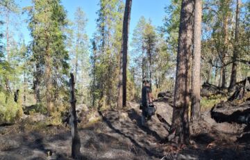 Metsähallitus on jälkivartioimassa maastopalopaikkaa Savukosken Vintilätunturista. (Kuvaaja: Suvi Kauhanen / Metsähallitus)