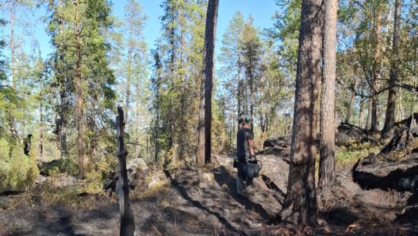 Metsähallitus on jälkivartioimassa maastopalopaikkaa Savukosken Vintilätunturista. (Kuvaaja: Suvi Kauhanen / Metsähallitus)