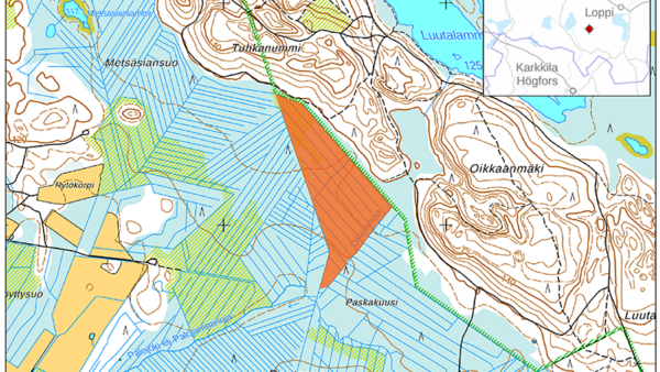 Rautasuon ennallistamistyöt alkavat heinäkuussa. (Kuvaaja: Metsähallitus)