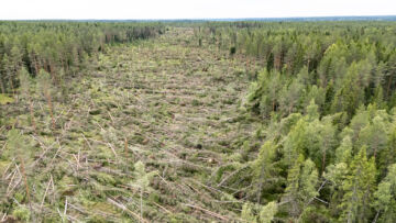 Ilmatieteen laitoksen mukaan näin voimakkaat trombit ovat Suomessa harvinaisia. (Kuvaaja: Rami Marjamäki)