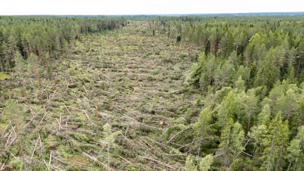 Ilmatieteen laitoksen mukaan näin voimakkaat trombit ovat Suomessa harvinaisia. (Kuvaaja: Rami Marjamäki)