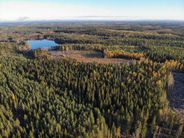 Metsätilamarkkinoilla syksystäkin odotetaan varsin vilkasta. Kysyntää on riittänyt, vaikka tilojen tarjonta on ollut tänä vuonna selvästi viime vuotta runsaampaa. (Kuvaaja: Sami Karppinen)