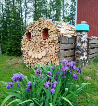Veli Pylkkösen polttopuupinolle oli askarreltu kasvot. (Kuvaaja: Veli Pylkkönen)
