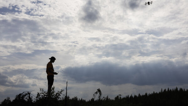 Suomessa drooneja käytetään jo metsälannoitteiden lentolevitykseen. (Kuvaaja: Matias Honkamaa)