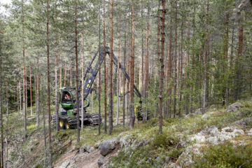Koneurakointi Kollanus Oy:n yrittäjä Eero Kollanuksella on riittänyt työtä tasaisesti metsänhoitoyhdistys Päijänteen korjuupalvelun työmailla. Viime viikolla Kollanus harvensi männikköä Laukaassa. Paikoin metsäyhtiöiden tuotannonrajoitukset ovat jo heijastuneet myös puunkorjuuseen. (Kuvaaja: Sami Karppinen)
