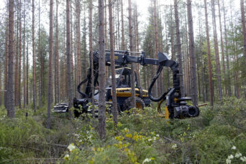 Metsiä suositellaan nykyään kasvatettavan ensiharvennusvaiheen jälkeen aavistuksen tiheämpänä kuin aikaisemmin. Tästä ei vielä tule lovea suhteelliseen arvokasvuun, mutta saadaan enemmän kuutiotuotosta. (Kuvaaja: Sami Karppinen)