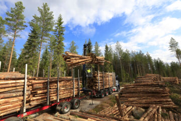 Metsä Groupin kulukuuri tietänee tiukkoja aikoja koko puunhankintaketjuun.  (Kuvaaja: Sami Karppinen)