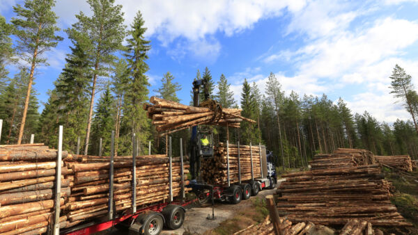Metsä Groupin kulukuuri tietänee tiukkoja aikoja koko puunhankintaketjuun. (Kuvaaja: Sami Karppinen)