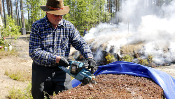 Historia ja nykyteknologia lyövät kättä, kun Toivo Heikkinen sahaa sopivia kunttapaloja tervahautaan akkumoottorisahalla. (Kuvaaja: Sami Karppinen)