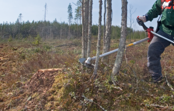 Metsänhoitotöiden lisäksi Sumetku on tarjonnut muun muassa puukauppaan liittyviä palveluja ja metsäkiinteistöjen välitystä. (Kuva: Mikko Riikilä)