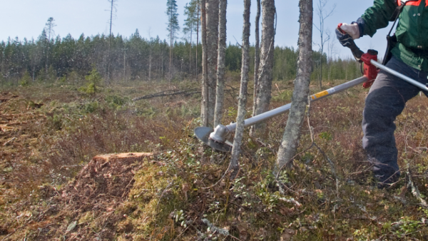 Metsänhoitotöiden lisäksi Sumetku on tarjonnut muun muassa puukauppaan liittyviä palveluja ja metsäkiinteistöjen välitystä. (Kuva: Mikko Riikilä)
