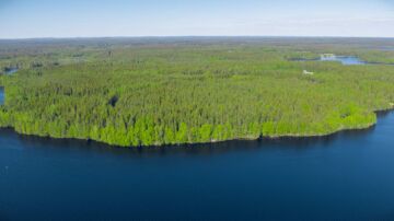 Huhujen kohteena oleva Finsilva omistaa metsää lähes 140 000 hehtaaria. (Kuvaaja: Finsilva)