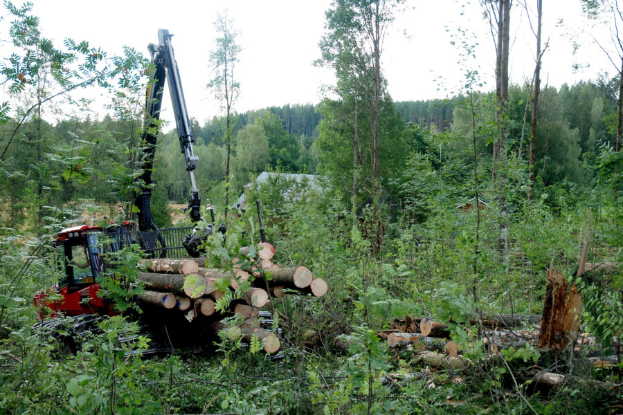 Puut lähtevät liikkeelle hakkuun jälkeen. Miten nopeasti rahat tulevat metsänomistajan tilille, siinä on vaihtelua. (Kuvaaja: Mikko Häyrynen)