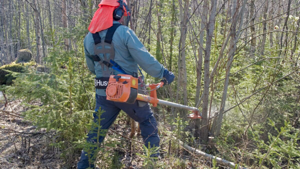 Työnantajavelvoitteista laistavat yritykset saavat kilpailuedun verrattuna niihin yrityksiin, jotka velvoitteita noudattavat. (Kuvaaja: Mikko Riikilä)