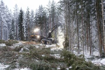 Metsätilojen vakuusarvoa on alentunut metsälain muutos. Kun uudistamiskypsyyttä ei määritellä laissa, voi metsänomistaja hakkuuttaa nuorenkin metsän aukoksi, jolloin tilan arvo saattaa romahtaa. (Kuvaaja: Sami Karppinen)