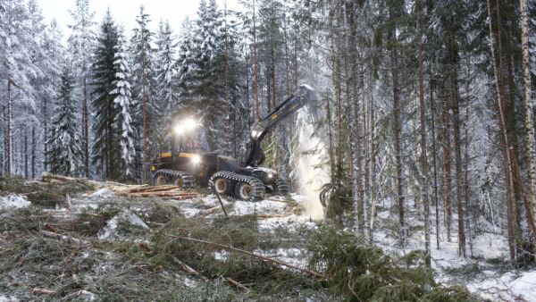 Metsätilojen vakuusarvoa on alentunut metsälain muutos. Kun uudistamiskypsyyttä ei määritellä laissa, voi metsänomistaja hakkuuttaa nuorenkin metsän aukoksi, jolloin tilan arvo saattaa romahtaa. (Kuvaaja: Sami Karppinen)