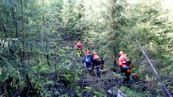 Metsätyökuvissa raivataan yleensä aurinkoisessa säässä. Ammattilaisen arki on kuitenkin myös tätä: Kaikki kamppeet ovat jo märkiä ja iltapäiväksi siirrytään vaikean maaston läpi seuraavalle kuviolle. Aloittelijalle jo palstalle saakka pääseminen voi olla haaste. (Kuvaaja: Sami Karppinen)