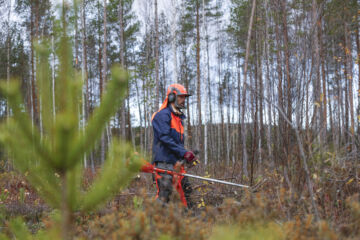 Ville Kauhanen on nauttinut fyysisestä työstä, jossa voi itse vaikuttaa aikatauluihin ja ansiotasoon. Talvikauden työllisyys on asia, joka vielä mietityttää. (Kuvaaja: Sami Karppinen)