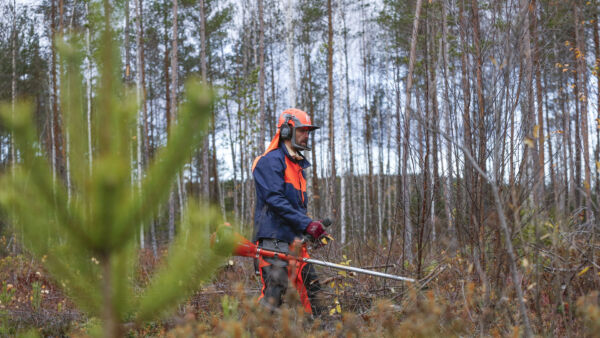 Ville Kauhanen on nauttinut fyysisestä työstä, jossa voi itse vaikuttaa aikatauluihin ja ansiotasoon. Talvikauden työllisyys on asia, joka vielä mietityttää. (Kuvaaja: Sami Karppinen)