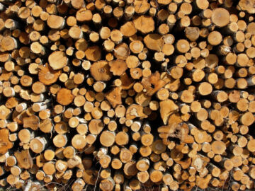  (Kuvaaja: Mikko Häyrynen)