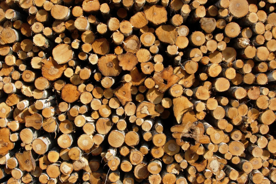  (Kuvaaja: Mikko Häyrynen)