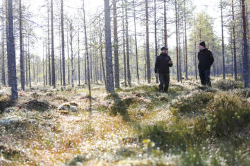 Luontovarma aikoo löytää liiketoimintamahdollisuuksia sieltä, missä perinteisen metsätalouden bisnestä ei tehdä. Se voi tarkoittaa esimerkiksi soiden ennallistamista. Toimitusjohtaja Panu Pettinen (vas.) ja liiketoimintajohtaja Tuomas Kähö tutustuivat mahdolliseen ennallistamiskohteeseen Multialla Keski-Suomessa.  (Kuvaaja: Sami Karppinen)