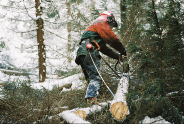 Puuntuotantopalveluiden kysyntä ei ole vähentynyt, vaikka metsäsuhdanne onkin alamaissa, metsänhoitoyhdistyksistä kerrotaan. (Kuva: Mikko Riikilä)
