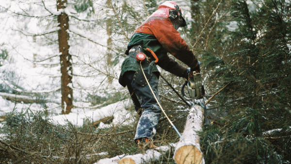 Puuntuotantopalveluiden kysyntä ei ole vähentynyt, vaikka metsäsuhdanne onkin alamaissa, metsänhoitoyhdistyksistä kerrotaan. (Kuva: Mikko Riikilä)