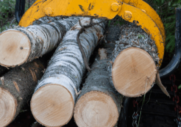 Leimikosta tehtiin kaksi tarjousta, joista yksityisen sahan tarjous oli liki 70 prosenttia metsäyhtiön tarjousta korkeampi. (Kuva: Mikko Riikilä)