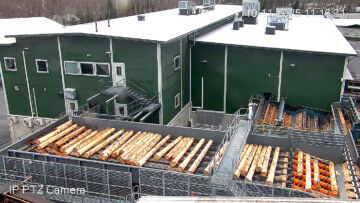 Isojoen sahalla on käytössä tukkipituuksia 2,7 metristä yli kuuteen metriin.  (Kuvaaja: Isojoen saha)