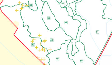 Kuvakaappaus Metsään.fi-palvelun kartasta. Suurin osa kuolleista puista sijaitsee pellonreunusmetsässä, jossa pitäisi tehdä päätehakkuu joka tapauksessa lähivuosina. 