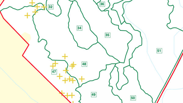 Kuvakaappaus Metsään.fi-palvelun kartasta. Suurin osa kuolleista puista sijaitsee pellonreunusmetsässä, jossa pitäisi tehdä päätehakkuu joka tapauksessa lähivuosina. 
