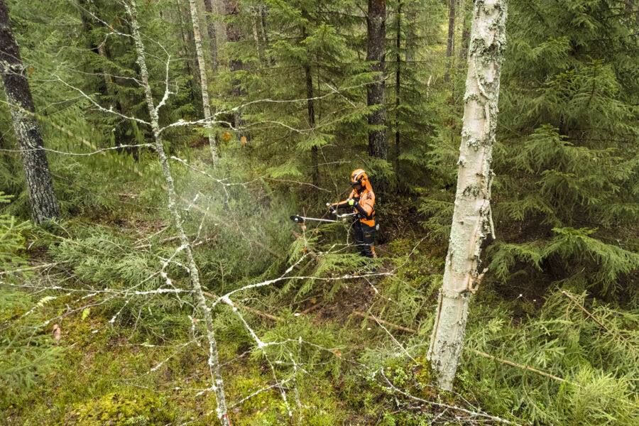 Työmarkkinaosapuolet eivät ole päässeet sopuun metsurien työehtosopimuksen teksteistä. (Kuvaaja: Seppo Samuli)