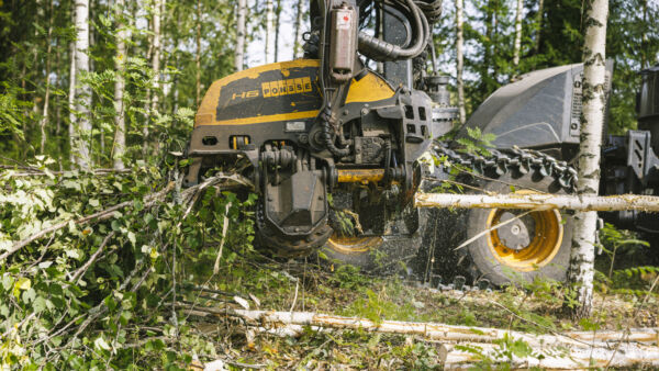 Ponssen yleisharvesteripää H6 katkomassa koivukuitua. Harvesteripäät eli kaatokourat pystyvät mittaamaan kapeimmatkin kuitupuupöllit. (Kuvaaja: Seppo Samuli)