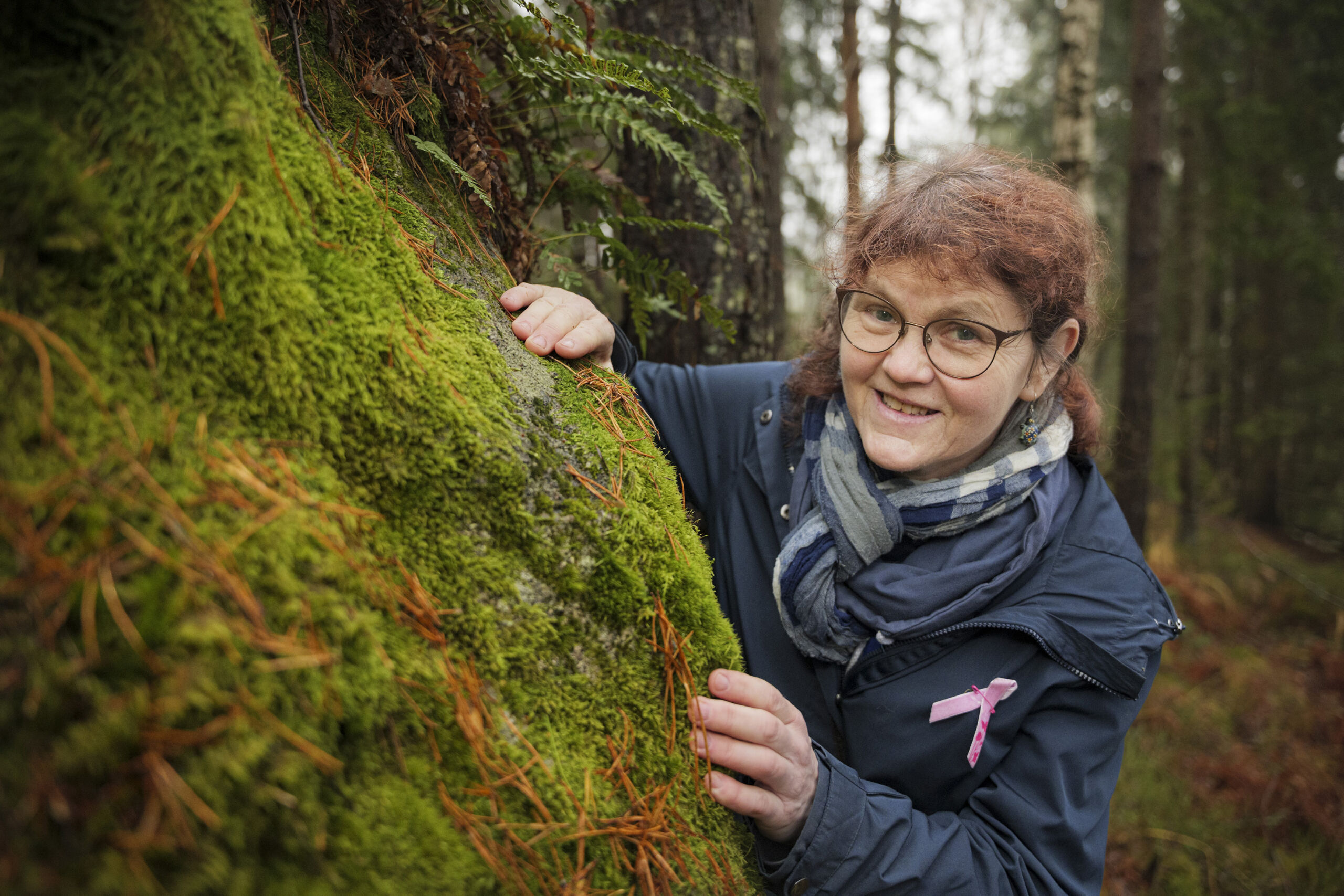 Tunnistatko seinä-, kerros- ja kynsisammalen?