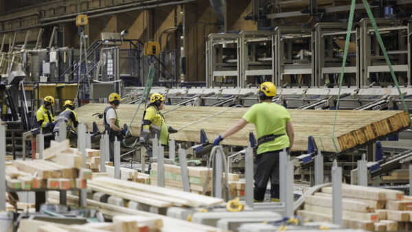 Versowood on ostanutkymmenkunta mekaanisen puunjalostuksen yritystä. Kuva yhtiön Vierumäen-sahalta. (Kuvaaja: Seppo Samuli)