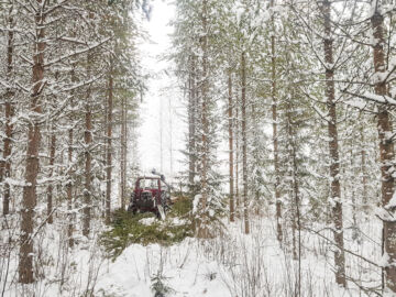 Metsätilan omistajaksi voi olla nyt aiempaa paremmat mahdollisuudet päätyä tilakaupan kautta, sillä tilojen tarjonta on kasvanut kysyntää enemmän.