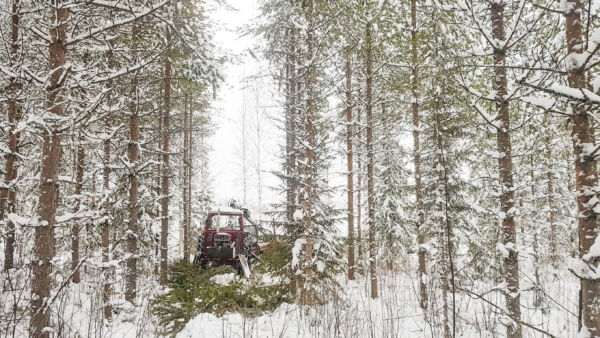Metsätilan omistajaksi voi olla nyt aiempaa paremmat mahdollisuudet päätyä tilakaupan kautta, sillä tilojen tarjonta on kasvanut kysyntää enemmän.
