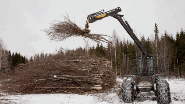 Energiapuun hinnat kävivät korkeimmillaan viime vuoden syksyllä ja viime talvena. Sen jälkeen hinnat ovat laskeneet kolmasosalla. (Kuva: Mikko Riikkilä)